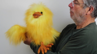 Folkmanis Handpuppe lustiger Vogel Demo