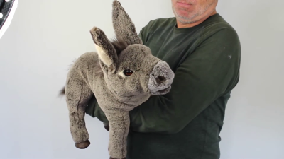 Video 1: Folkmanis Handpuppe Eselbaby