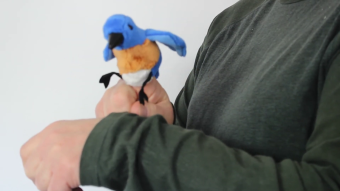 Folkmanis Fingerpuppe mini Hüttensänger-Vogel (blau) Demo 2