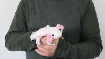 Folkmanis große Fingerpuppe mexikanischer Schwanzlurch, weiß Demo
