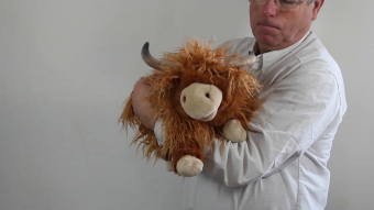 Folkmanis Handpuppe Schottisches Hochlandrind Demo 2