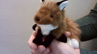 Folkmanis Fingerpuppe mini Fuchs Demo