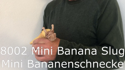 Video 2: Folkmanis Fingerpuppe mini Bananenschnecke