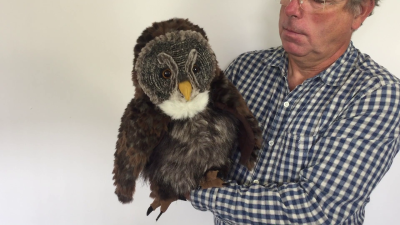 Video 1: Folkmanis Hooting Owl Hand Puppet
