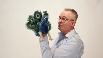 Folkmanis Small Peacock Hand Puppet Demo