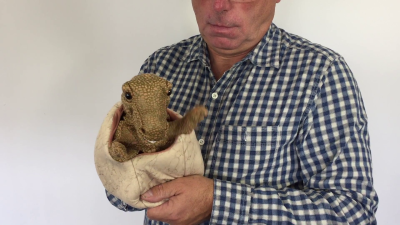 Video 1: Folkmanis Dinosaur Baby in Egg Hand Puppet