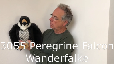 Video 2: Folkmanis Handpuppe Wanderfalke