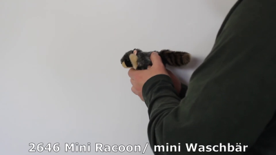 Folkmanis Fingerpuppe mini Waschbär Demo