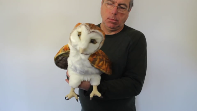 Video 1: Folkmanis Barn Owl Hand Puppet