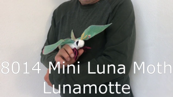 Folkmanis Fingerpuppe mini Lunamotte Demo