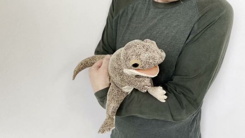 Folkmanis Lizard Hand Puppet Demo