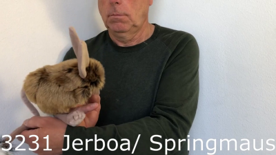 Video 1: Folkmanis Handpuppe Springmaus