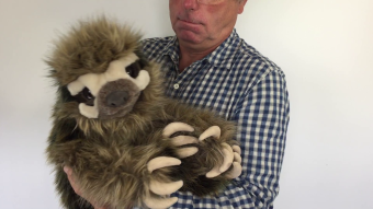Folkmanis Three-Toed Sloth Hand Puppet Demo