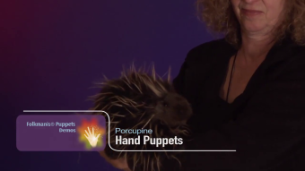 Folkmanis Handpuppe Stachelschwein Demo 2