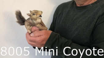Folkmanis Mini Coyote Finger Puppet Demo 2