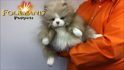 Video 2: Folkmanis Fluffy Cat Hand Puppet