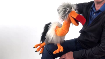 Living Puppets Handpuppe Geier Django Demo 2