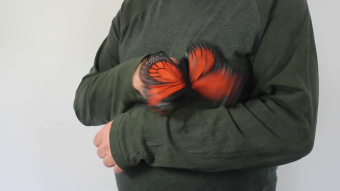 Folkmanis Fingerpuppe mini Monarchschmetterling Demo