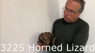 Video 1: Folkmanis Handpuppe Hornkrötenechse