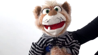 Video 1: Living Puppets hand puppet Wisky the cat
