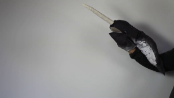 Folkmanis Narwhal Hand Puppet Demo