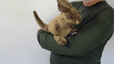 Video 1: Folkmanis Small Kangaroo Hand Puppet