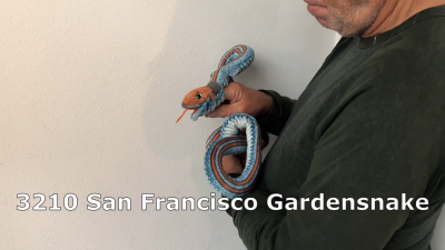 Video 1: Folkmanis Giant San Francisco Garter Snake Finger Puppet