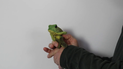 Video 1: Folkmanis Mini Sitting Frog Finger Puppet