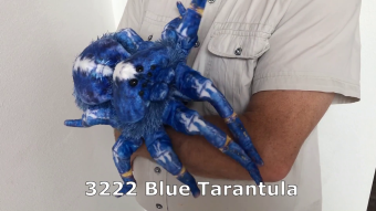 Folkmanis Handpuppe Blaue Ornament-Vogelspinne Demo