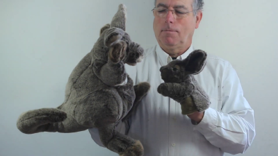 Video 1: Folkmanis Kangaroo with Joey Hand Puppet