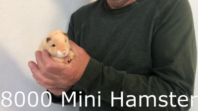 Video 2: Folkmanis Mini Hamster Finger Puppet