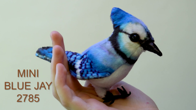 Video 1: Folkmanis Mini Blue Jay Finger Puppet