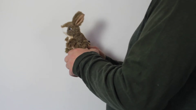 Video 1: Folkmanis Mini Jack Rabbit Finger Puppet