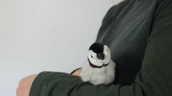 Folkmanis Fingerpuppe mini Baby Kaiserpinguin Demo 2