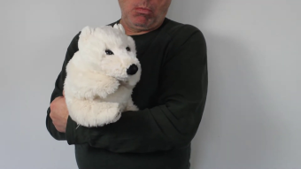 Video 1: Folkmanis Sitting Polar Bear Hand Puppet