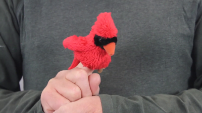 Video 1: Folkmanis Mini Cardinal Finger Puppet