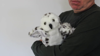 Video 1: Folkmanis Little Snowy Owl Hand Puppet (Small Stage Puppet)