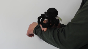 Folkmanis Mini Spider Finger Puppet Demo