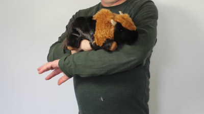 Video 1: Folkmanis Handpuppe kleines Bison