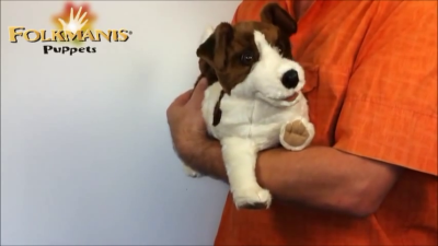 Folkmanis Jack Russell Terrier Hand Puppet Demo 2