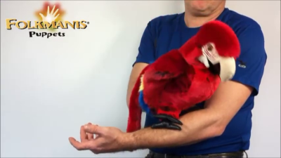 Video 2: Folkmanis Handpuppe Papagei / Ara