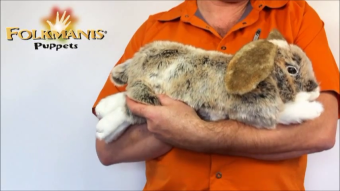 Folkmanis Handpuppe Hängeohr-Hase Demo 2