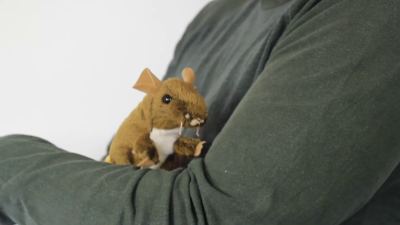 Folkmanis Mini Field Mouse Finger Puppet Demo