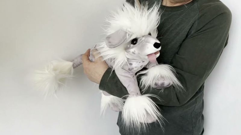 Folkmanis Handpuppe Chinesischer Schopfhund Demo