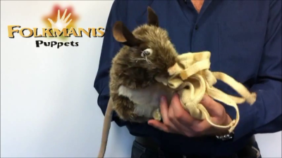 Video 2: Folkmanis Handpuppe Packratte