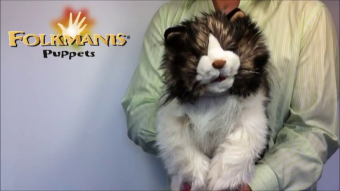 Folkmanis Ragdoll Cat Hand Puppet Demo 2