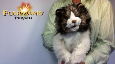 Folkmanis Handpuppe wuschelige Katze Demo 2