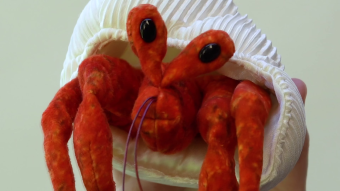 Folkmanis Fingerpuppe mini Einsiedlerkrebs Demo