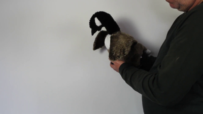 Video 1: Folkmanis Canada Goose Hand Puppet